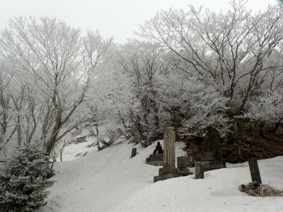 f:id:chkch:20190221214734j:plain