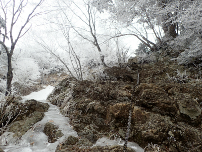 f:id:chkch:20190221214751j:plain