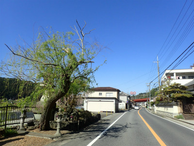 f:id:chkch:20190424145940j:plain