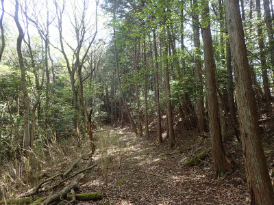 f:id:chkch:20190424150002j:plain