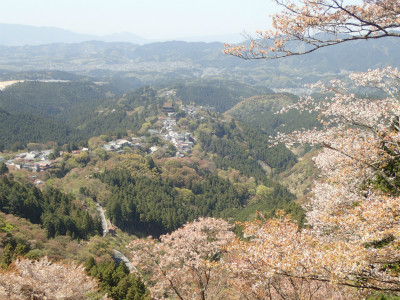 f:id:chkch:20190424150019j:plain