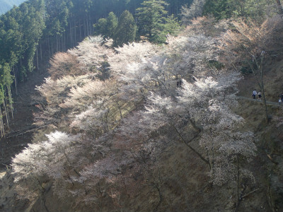 f:id:chkch:20190424150024j:plain