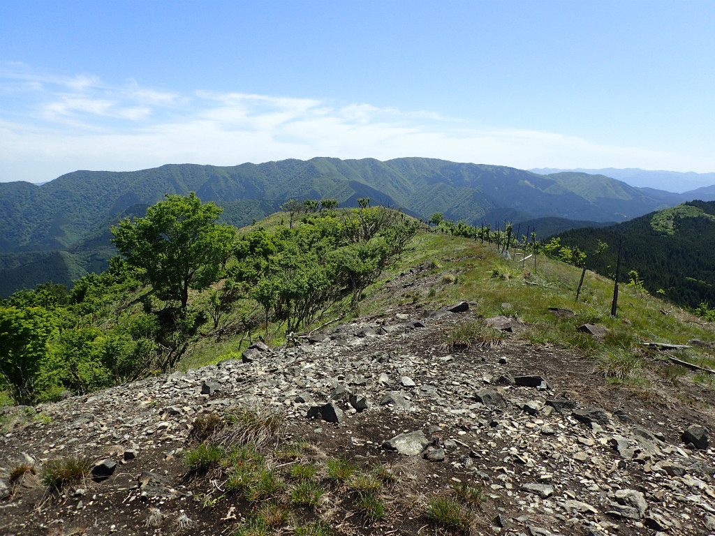 f:id:chkch:20190524194805j:plain f:id:chkch:20190524194805j:plain