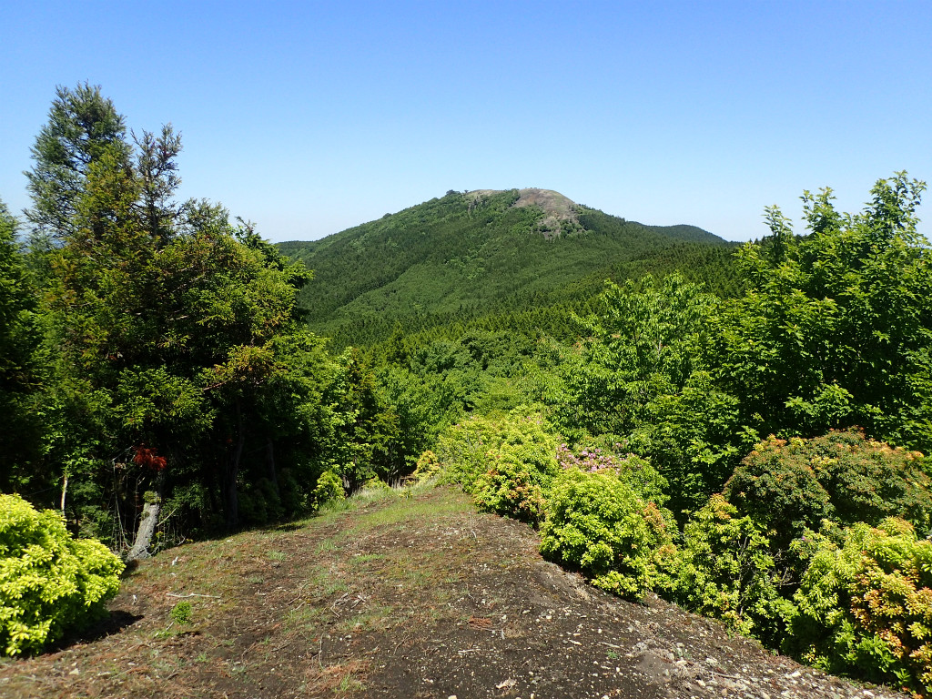 f:id:chkch:20190524194812j:plain f:id:chkch:20190524194812j:plain