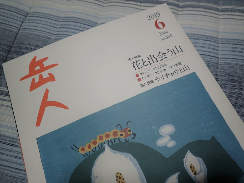 f:id:chkch:20190524194818j:plain f:id:chkch:20190524194818j:plain