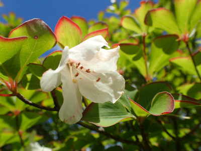 f:id:chkch:20190628223150j:plain