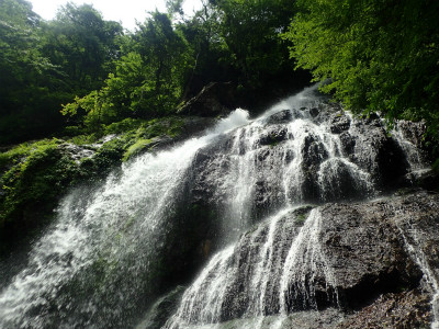 f:id:chkch:20190708213444j:plain