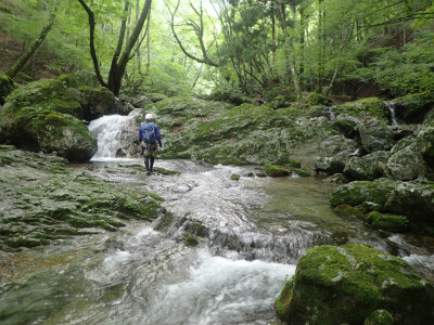 f:id:chkch:20190708213449j:plain