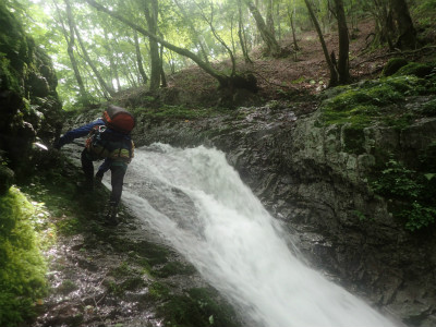 f:id:chkch:20190708213501j:plain