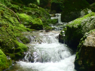 f:id:chkch:20190708213508j:plain