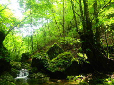 f:id:chkch:20190708213514j:plain