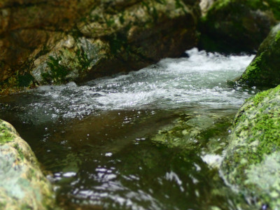 f:id:chkch:20190708213522j:plain