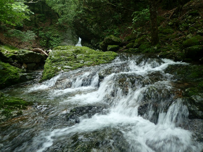 f:id:chkch:20190708213527j:plain