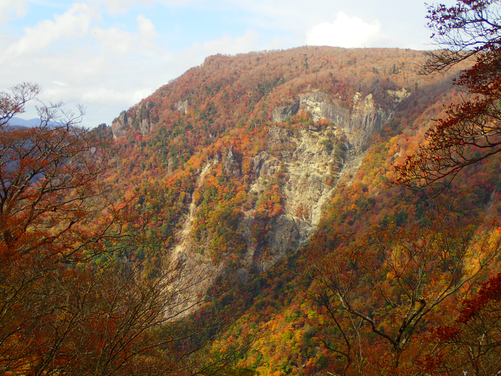 f:id:chkch:20201104000917j:plain f:id:chkch:20201104000917j:plain