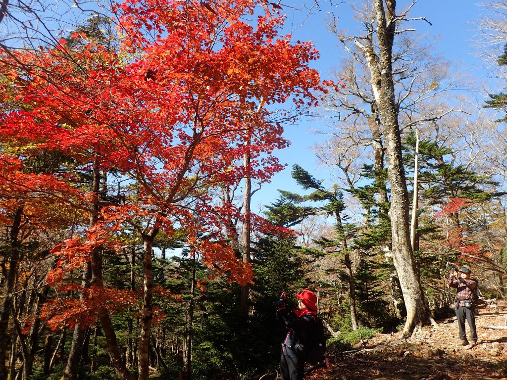 f:id:chkch:20201104000937j:plain f:id:chkch:20201104000937j:plain