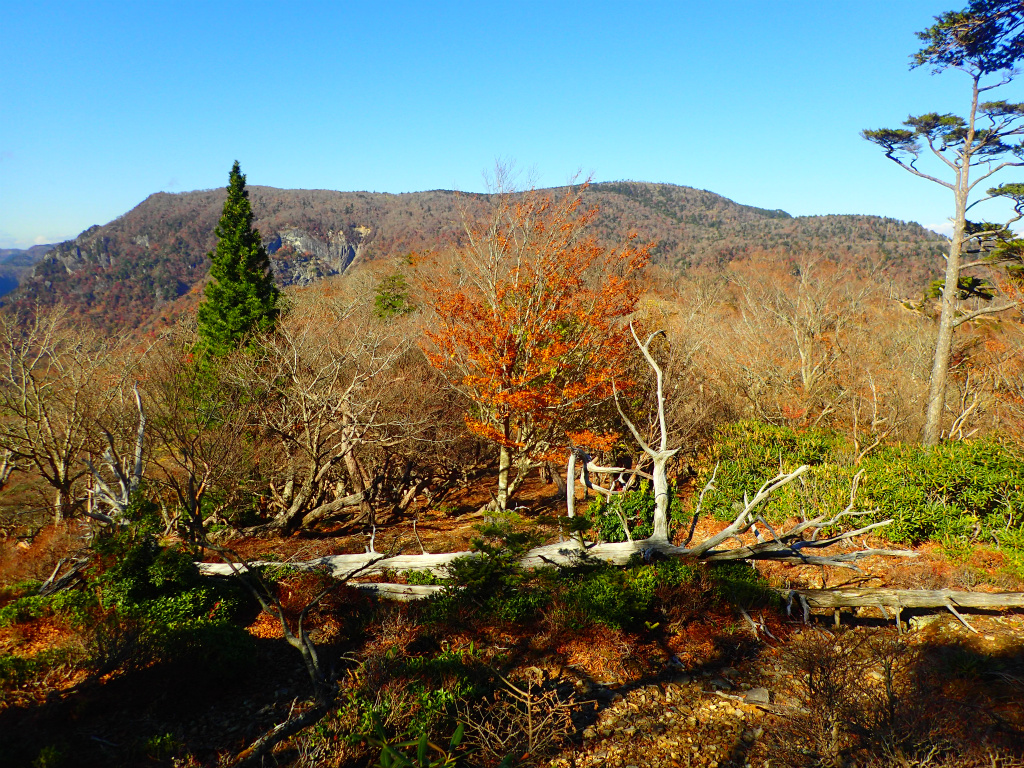 f:id:chkch:20201104001026j:plain f:id:chkch:20201104001026j:plain