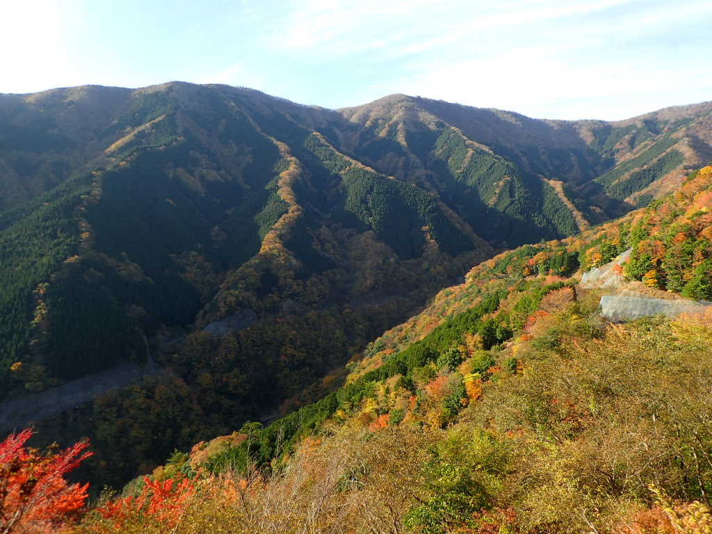 f:id:chkch:20201106235412j:plain