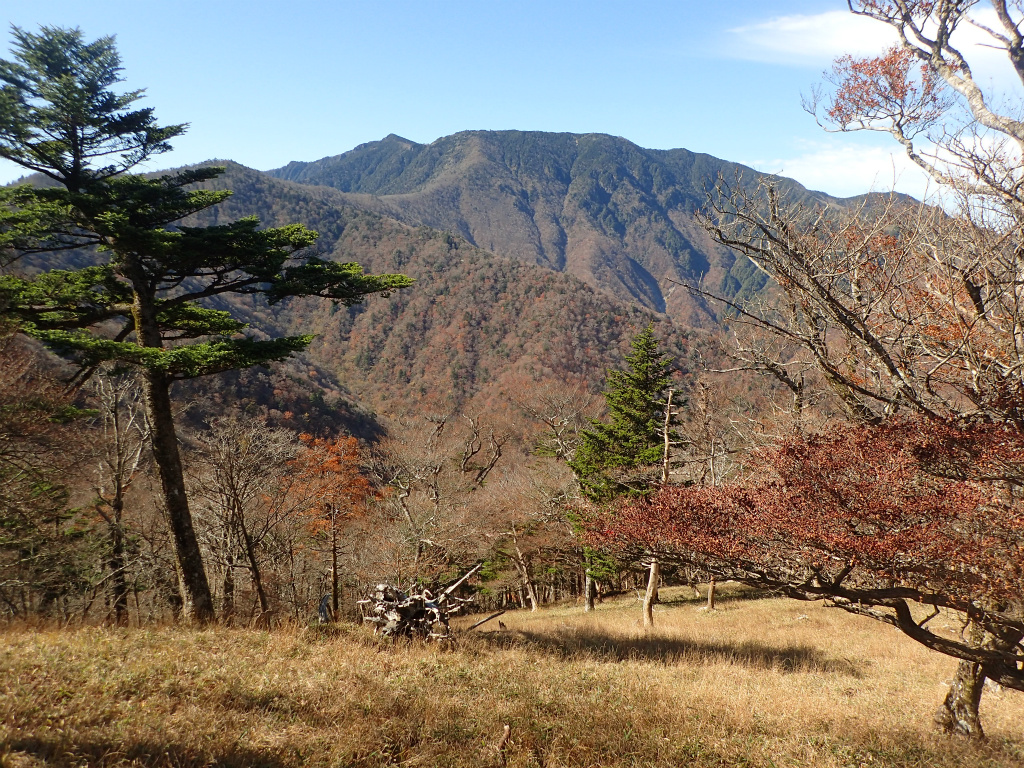 f:id:chkch:20201106235450j:plain