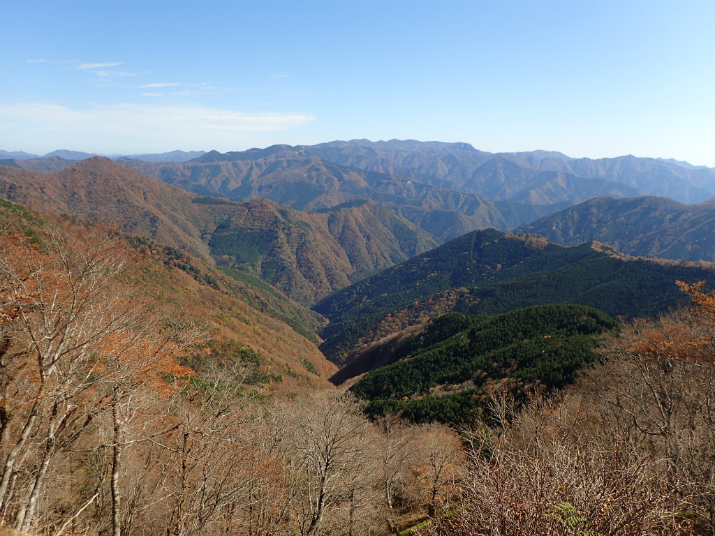 f:id:chkch:20201106235514j:plain