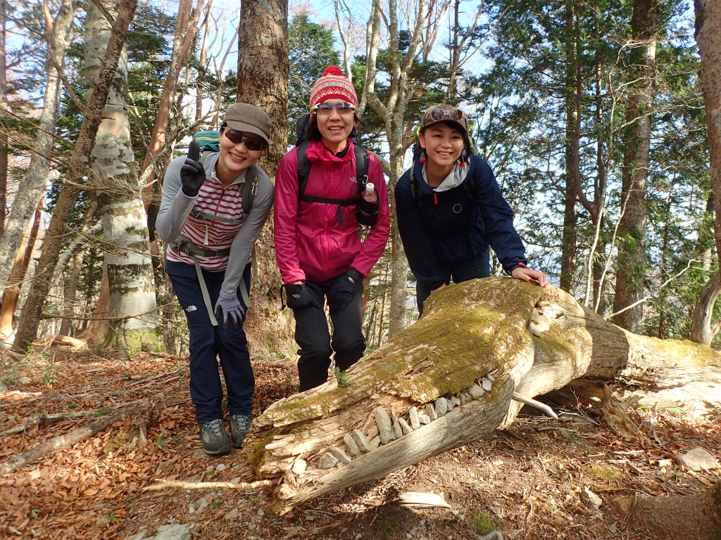 f:id:chkch:20201115230048j:plain