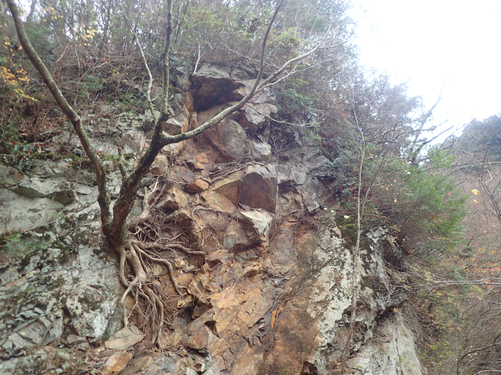 f:id:chkch:20201123225621j:plain