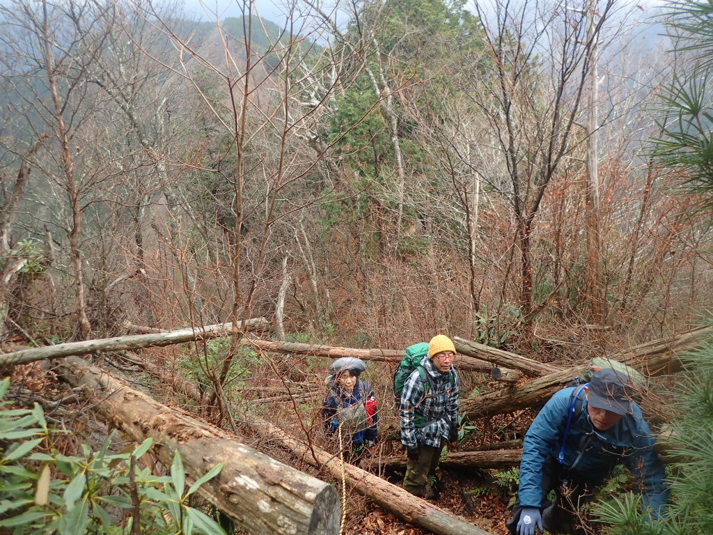 f:id:chkch:20201123225637j:plain