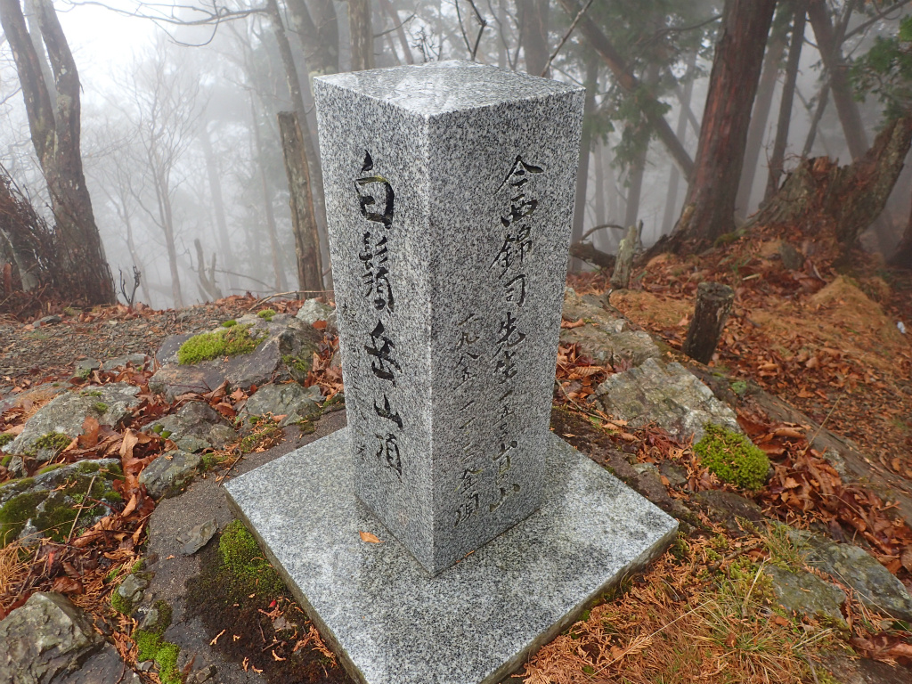 f:id:chkch:20201123225652j:plain