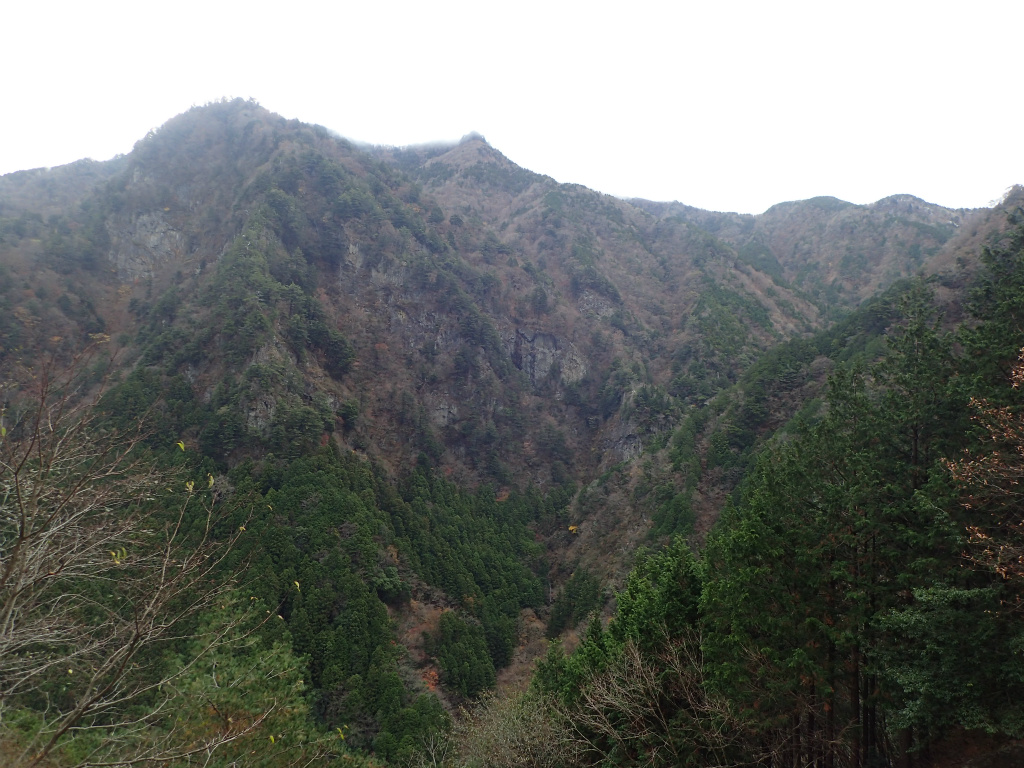 f:id:chkch:20201123225706j:plain