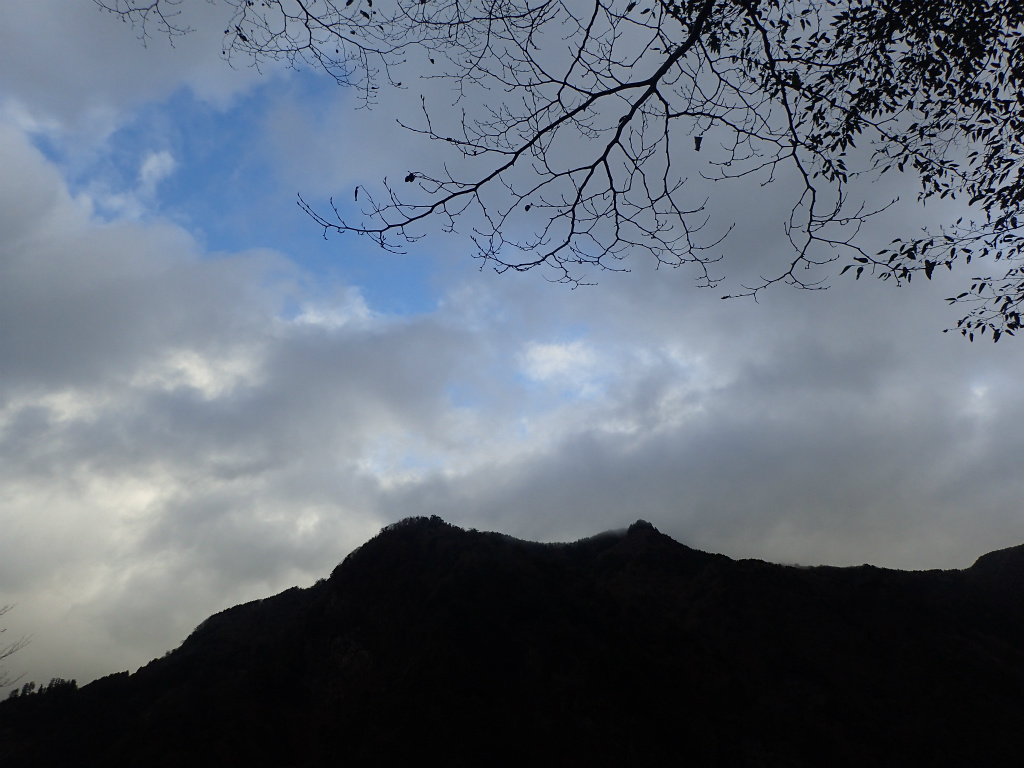 f:id:chkch:20201123225713j:plain