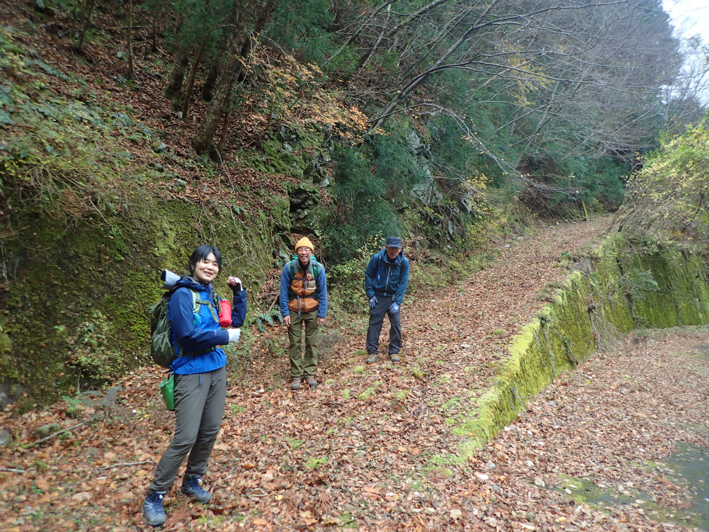 f:id:chkch:20201123225720j:plain