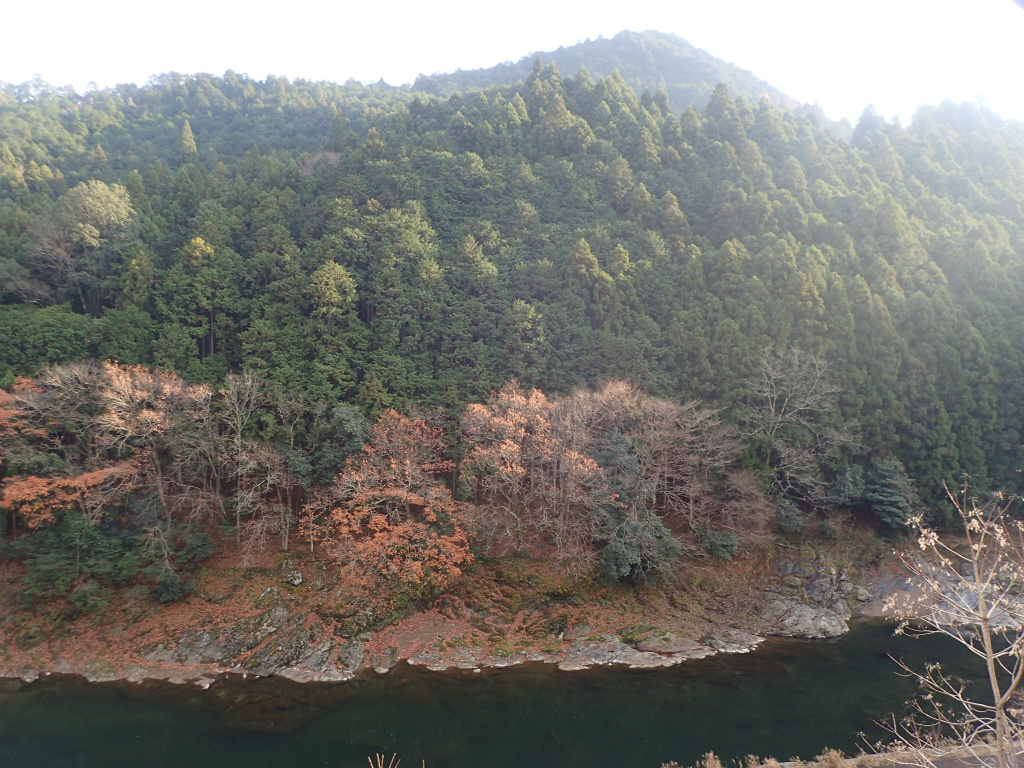 f:id:chkch:20201223222518j:plain
