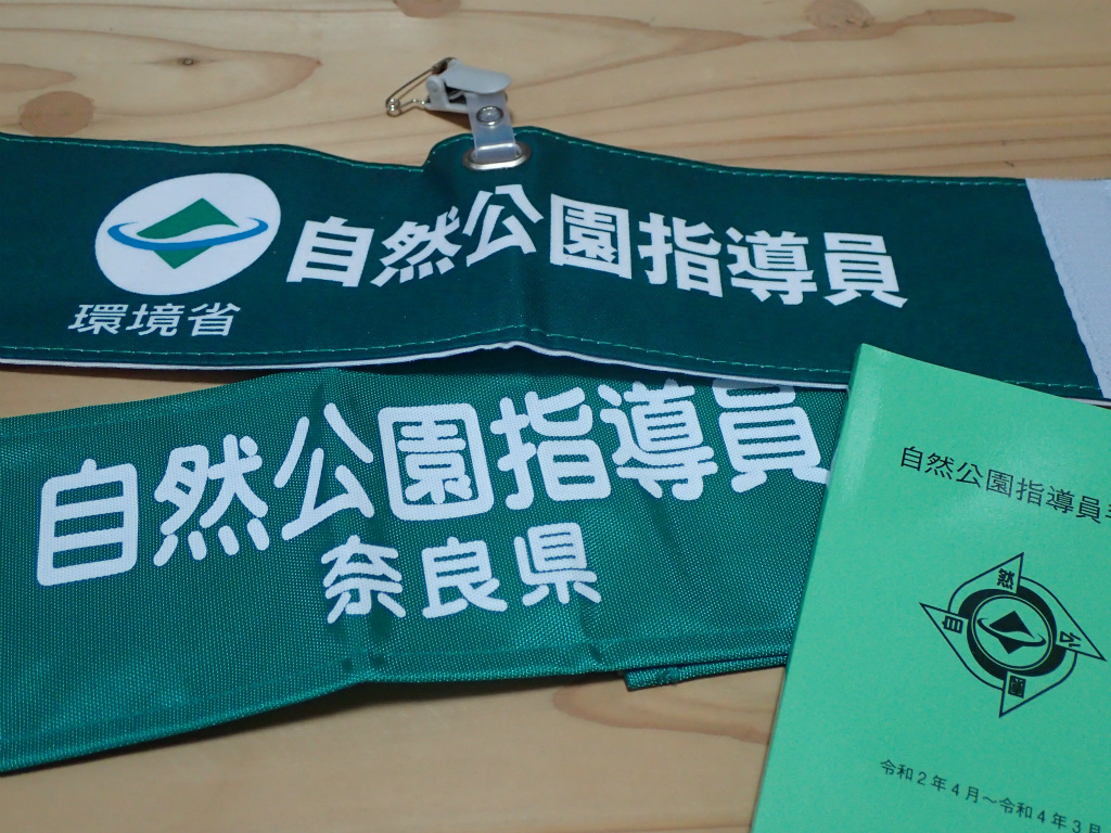 f:id:chkch:20210103215334j:plain