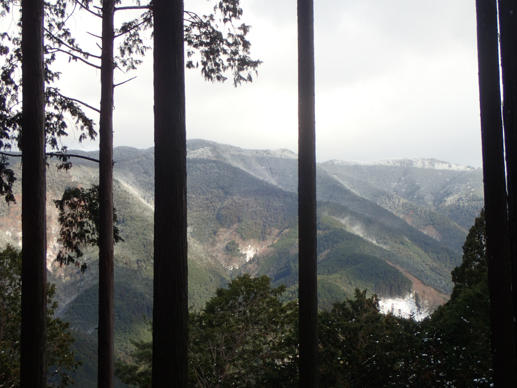 f:id:chkch:20210110103901j:plain