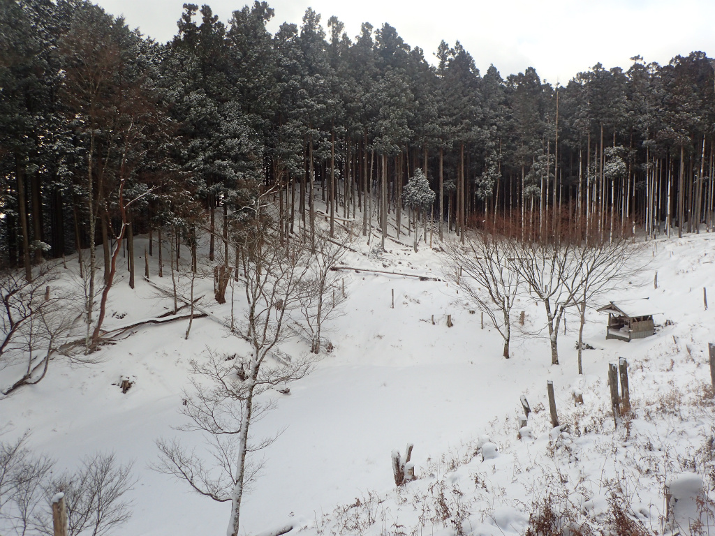 f:id:chkch:20210110103914j:plain