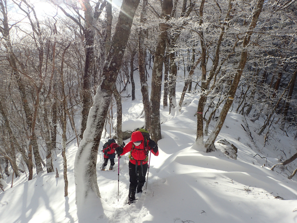 f:id:chkch:20210110103921j:plain