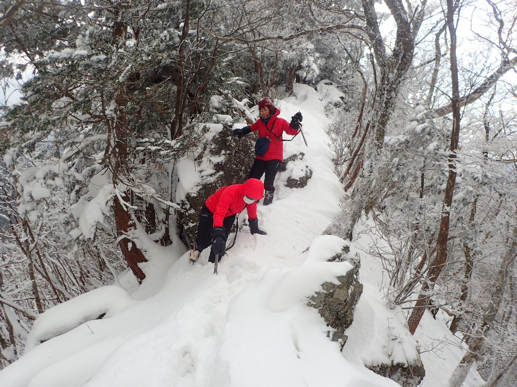 f:id:chkch:20210110103928j:plain