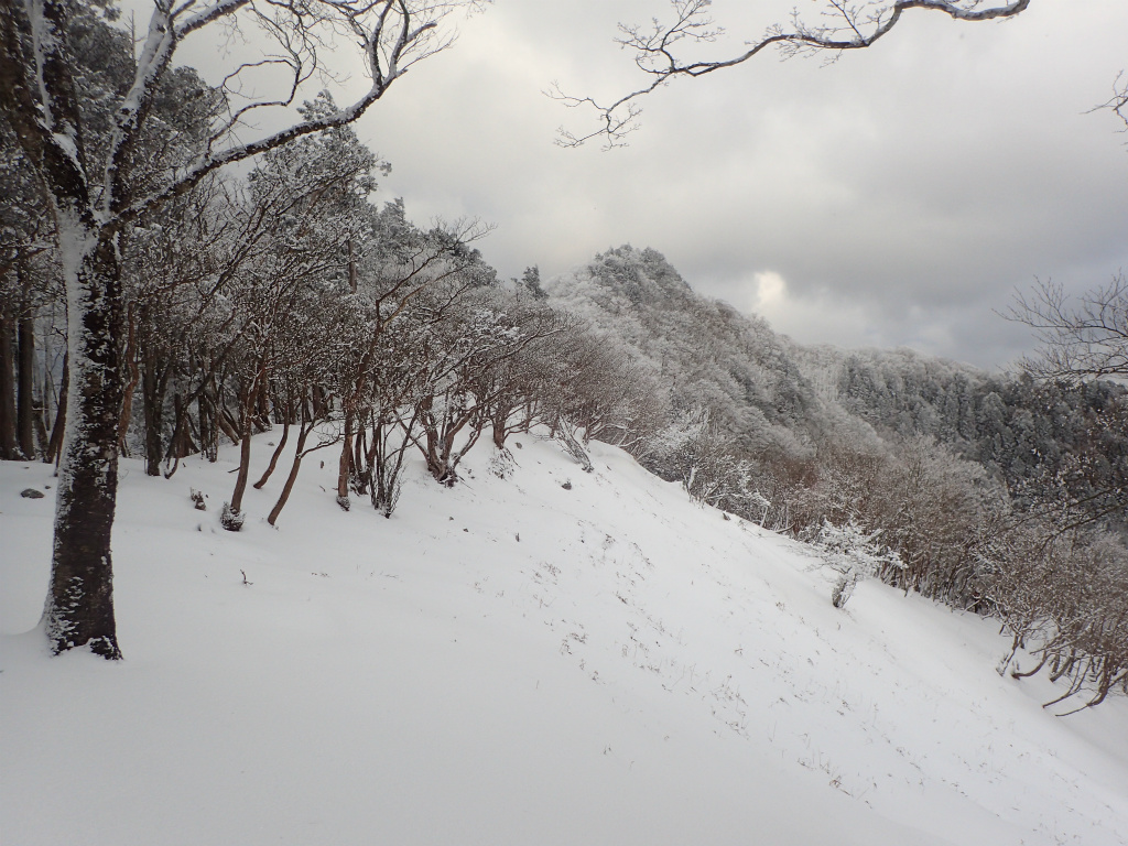 f:id:chkch:20210110103934j:plain