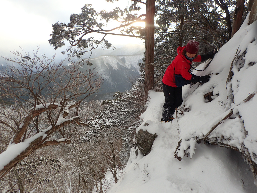 f:id:chkch:20210110103941j:plain