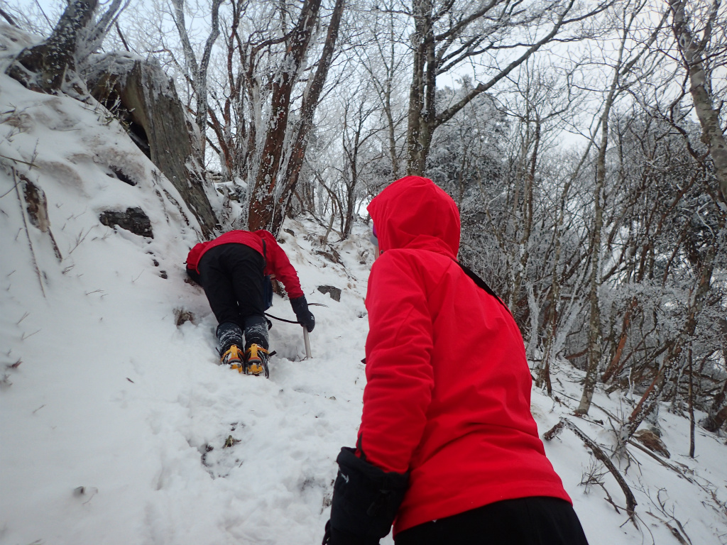 f:id:chkch:20210110103956j:plain