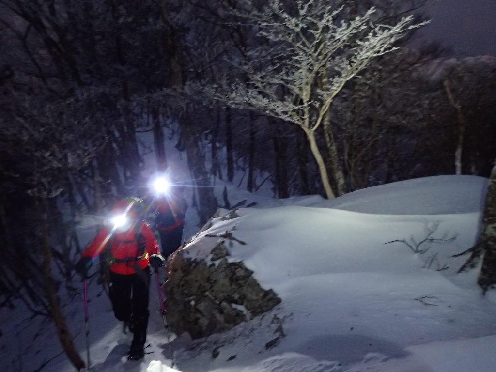 f:id:chkch:20210110104003j:plain