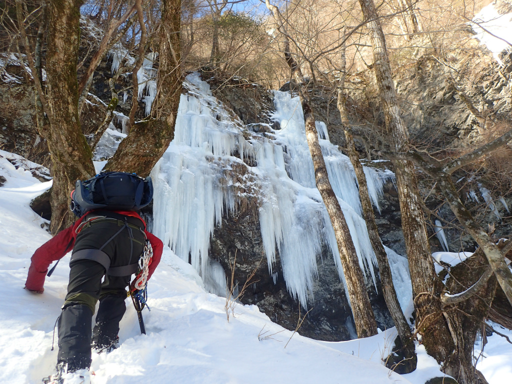 f:id:chkch:20210120220753j:plain