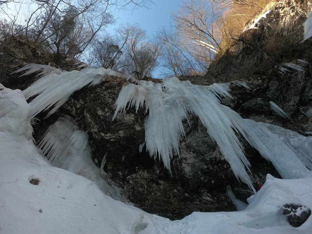 f:id:chkch:20210120220858j:plain