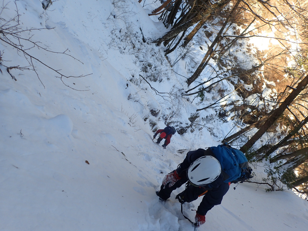 f:id:chkch:20210120220945j:plain