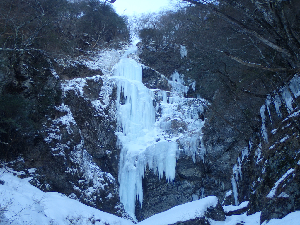 f:id:chkch:20210120220958j:plain