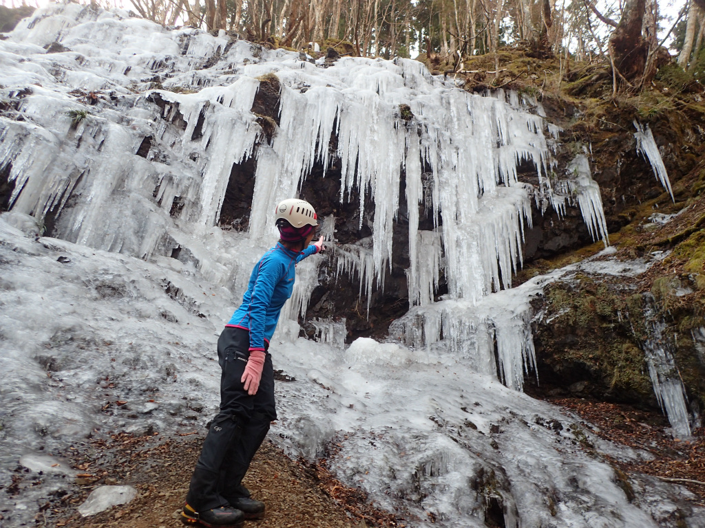 f:id:chkch:20210207215326j:plain