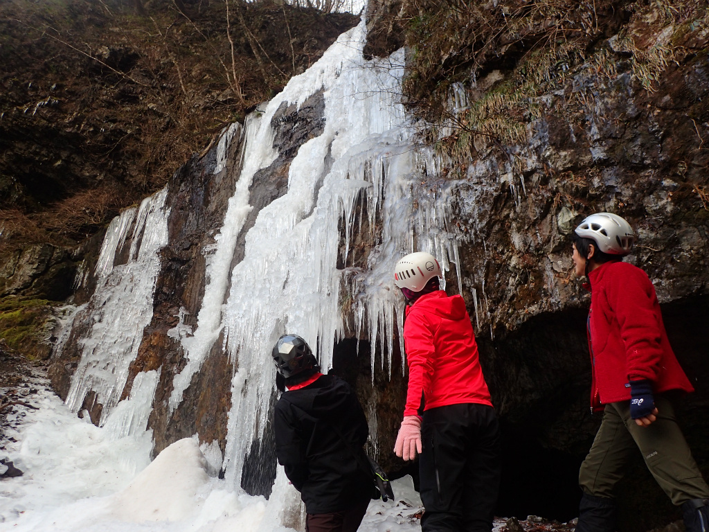 f:id:chkch:20210207215340j:plain