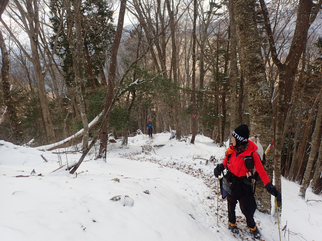 f:id:chkch:20210210220922j:plain