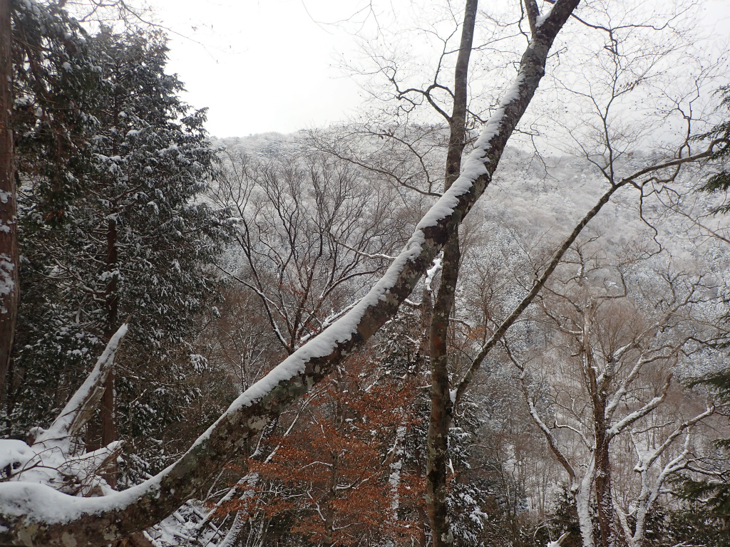 f:id:chkch:20210210220930j:plain