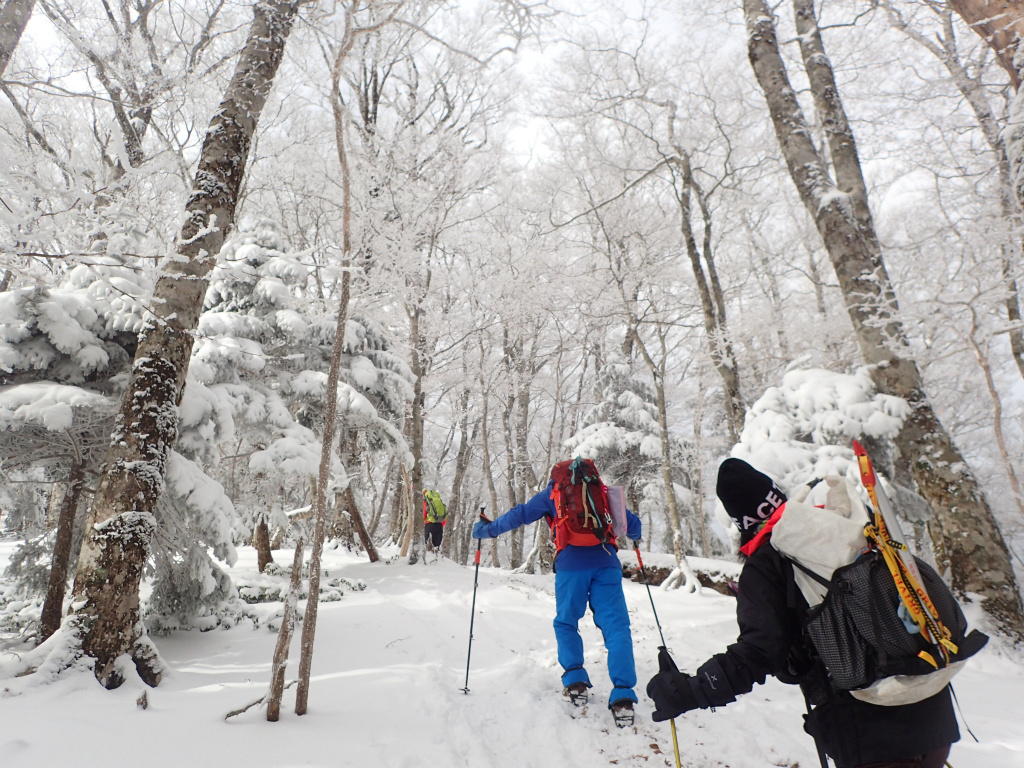 f:id:chkch:20210210220946j:plain