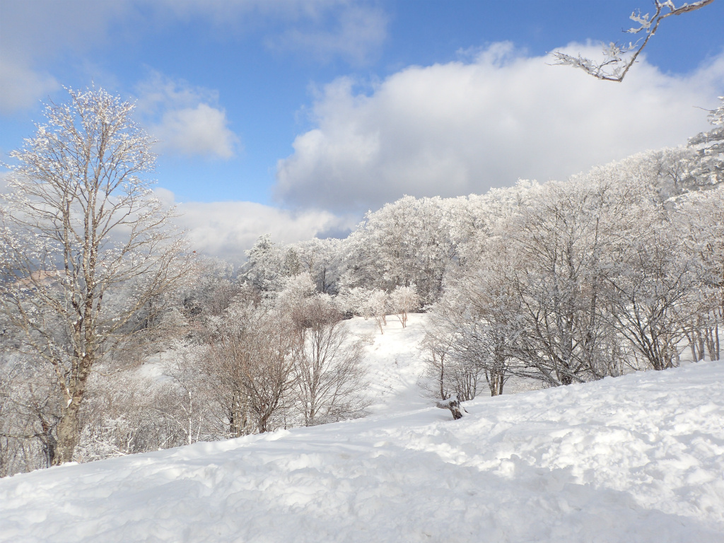 f:id:chkch:20210210221003j:plain